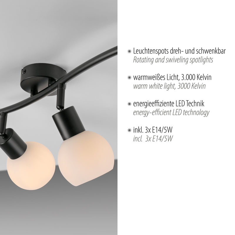Plafoniera Paul Neuhaus LOKI 3xE14 Negru