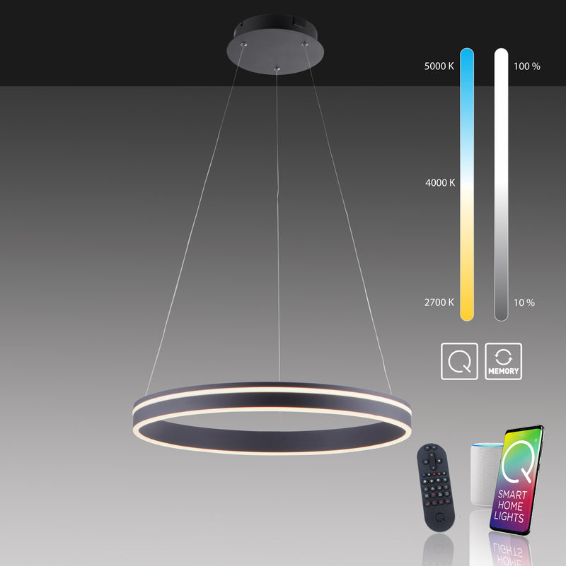Lustra Paul Neuhaus Q-VITO LED Antracit