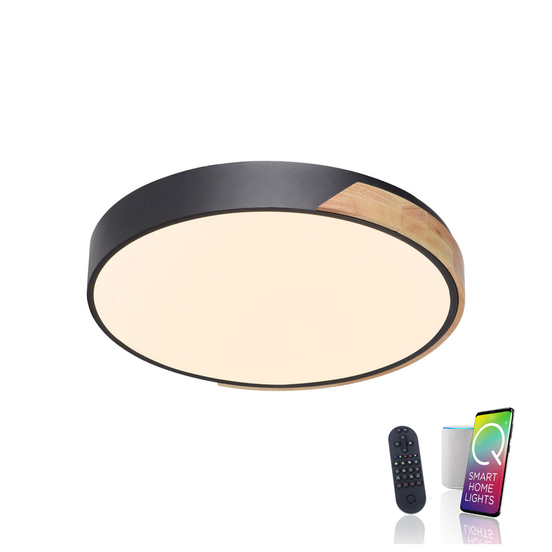 Plafoniera Paul Neuhaus Q-BILA LED Negru