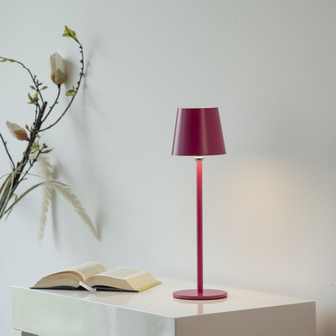 Veioza Paul Neuhaus BOTERIA LED Roz