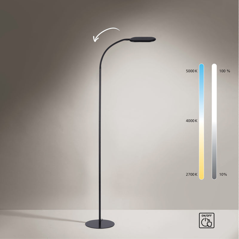 Lampadar Paul Neuhaus KELLY LED Negru