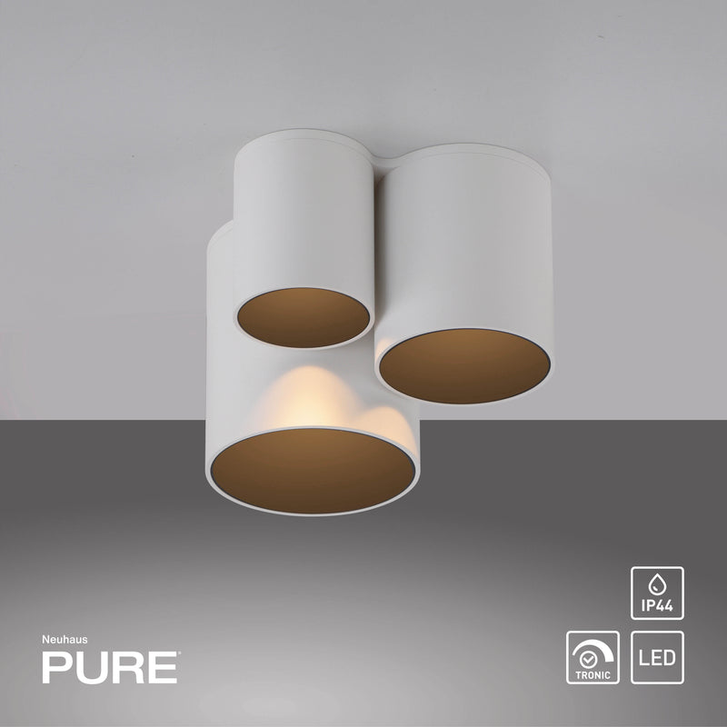 Plafoniera Paul Neuhaus PURE POINT LED Alb