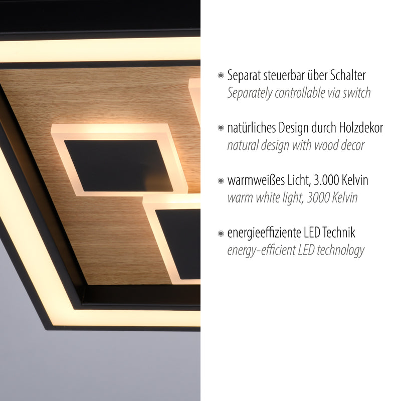 Plafoniera Paul Neuhaus ELIZA LED Negru