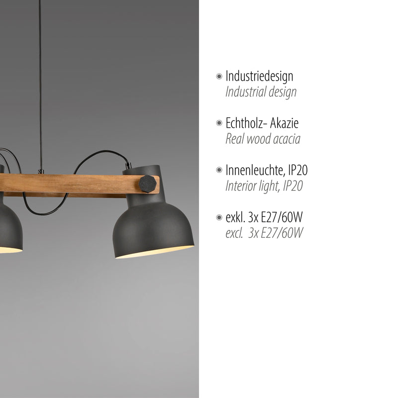 Lustra Paul Neuhaus CUP 2.0 3xE27 Negru