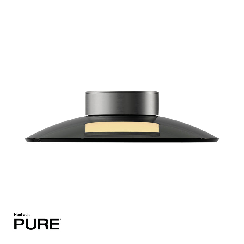 Plafoniera Paul Neuhaus PURE MOON 2xLED Gri
