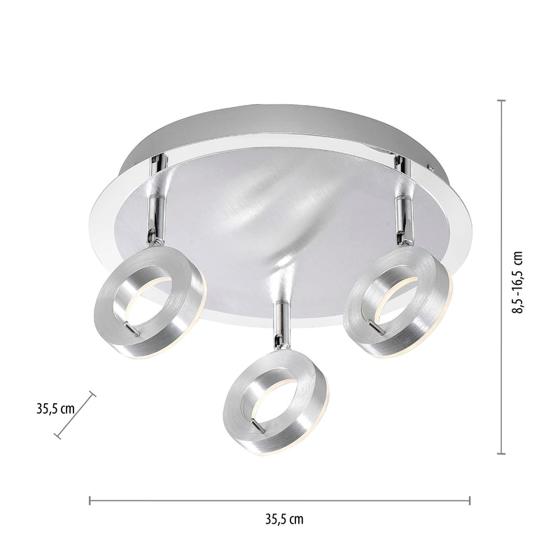 Plafoniera Paul Neuhaus SILEDA 3xLED Aluminiu