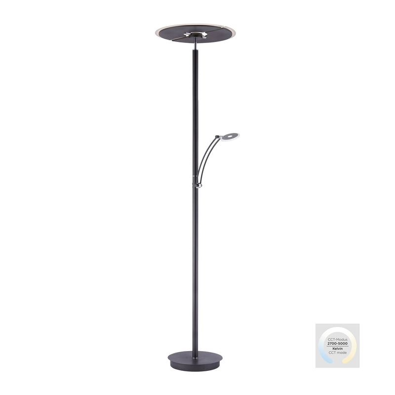 Lampadar Paul Neuhaus ARTUR LED Antracit