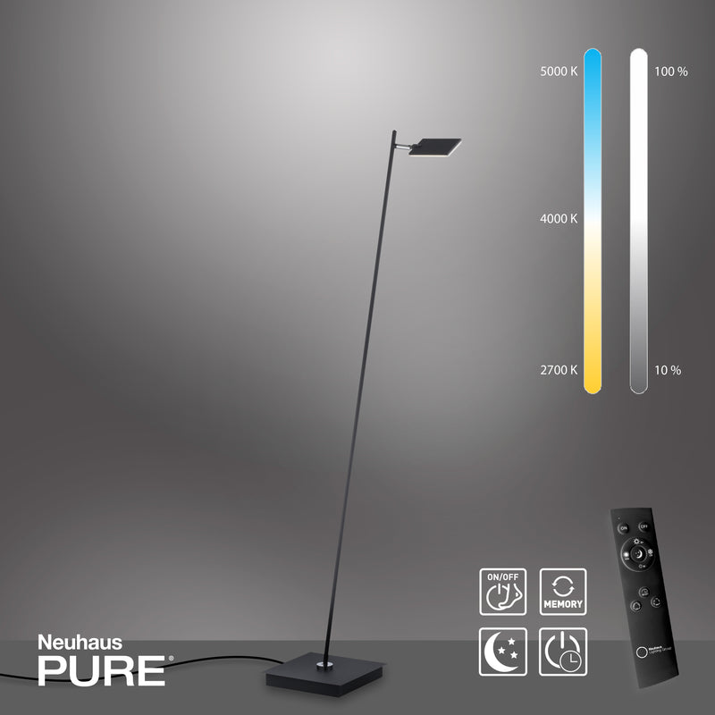 Lampadar Paul Neuhaus PURE-MIRA LED Antracit