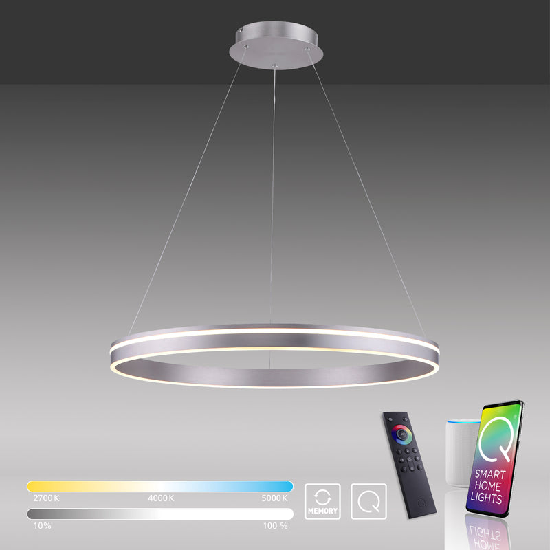 Lustra Paul Neuhaus Q-VITO LED Argintiu