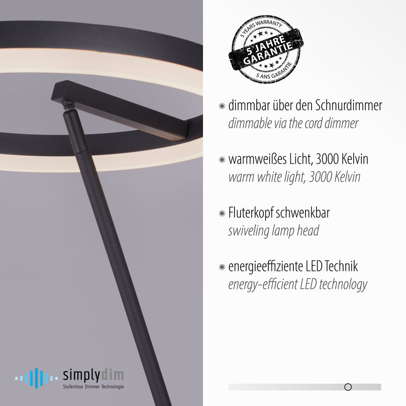 Lampadar Paul Neuhaus TITUS LED Antracit