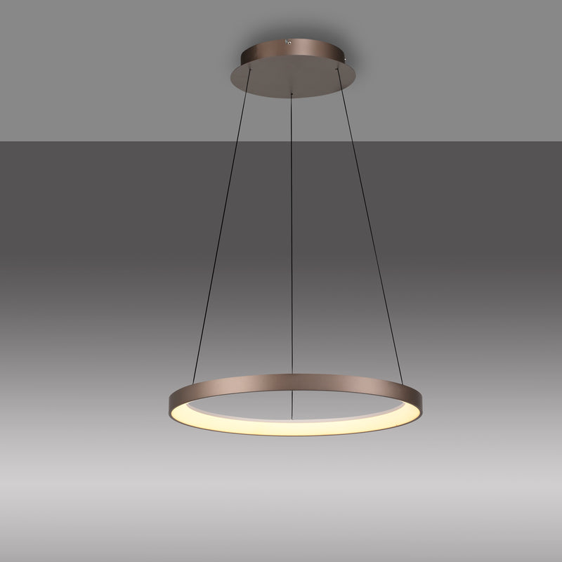 Lustra Paul Neuhaus HOOP LED Cafeniu