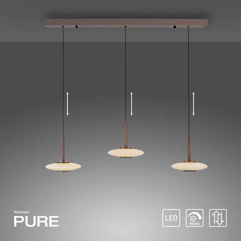 Lustra Paul Neuhaus PURE VITRUM 6xLED Maro Metalic