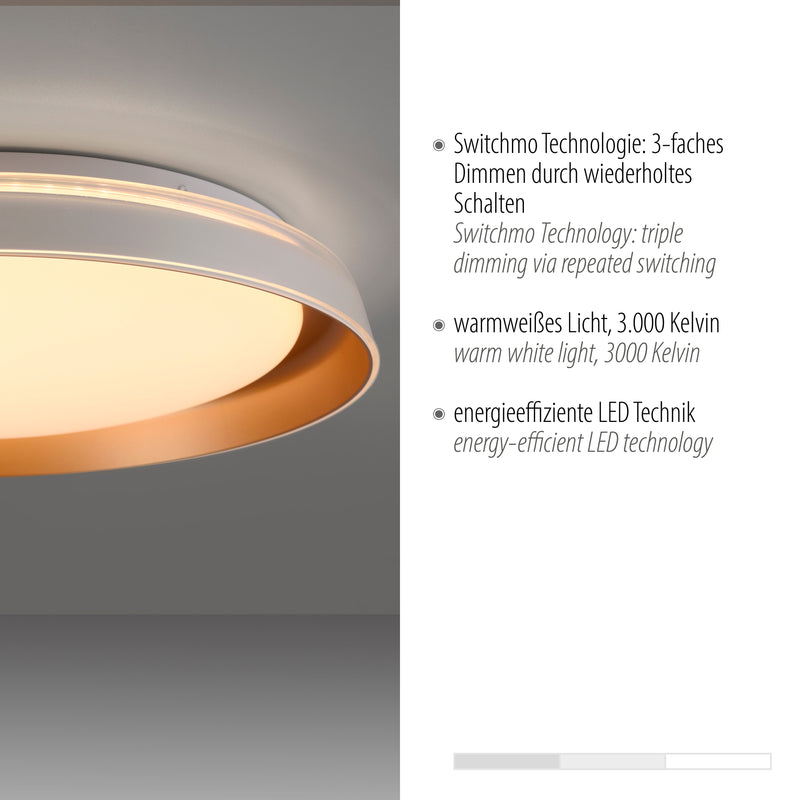 Plafoniera Paul Neuhaus SATI LED Alama Mat