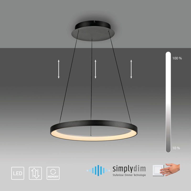 Lustra Paul Neuhaus HOOP LED Negru