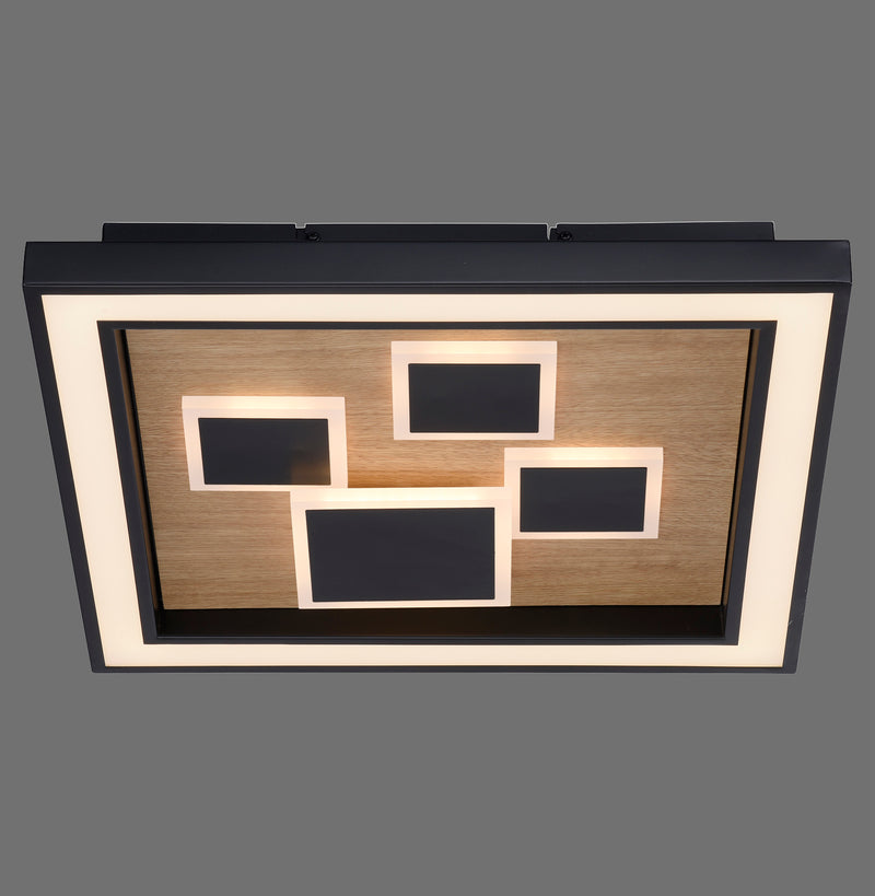 Plafoniera Paul Neuhaus ELIZA LED Negru