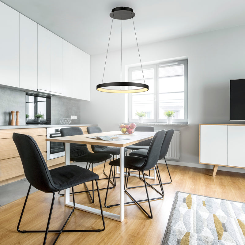 Lustra Paul Neuhaus HOOP LED Negru
