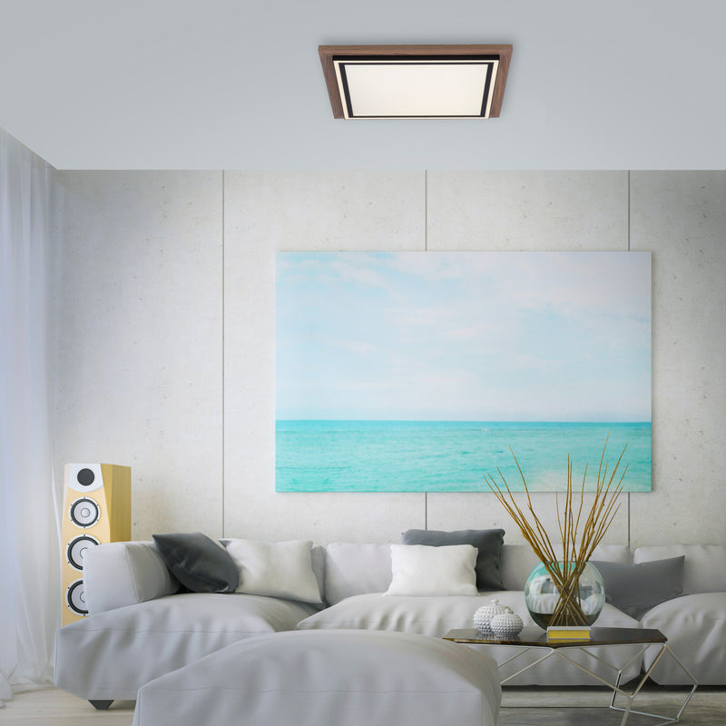 Plafoniera Paul Neuhaus PALMA 2xLED Lemn
