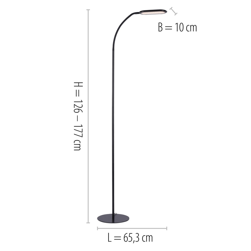 Lampadar Paul Neuhaus KELLY LED Negru