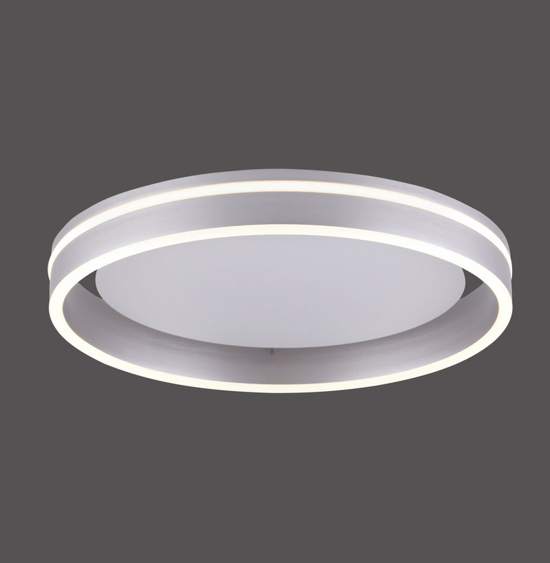 Plafoniera Paul Neuhaus Q-VITO LED Otel