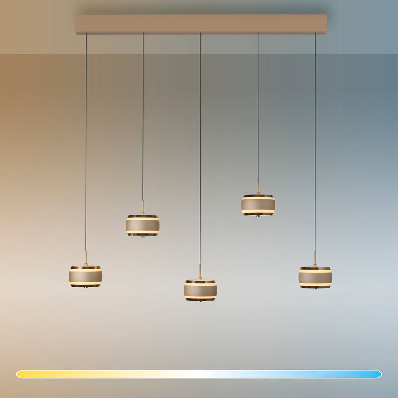 Lustra Paul Neuhaus PURE FALLING RINGS 5xLED Maro