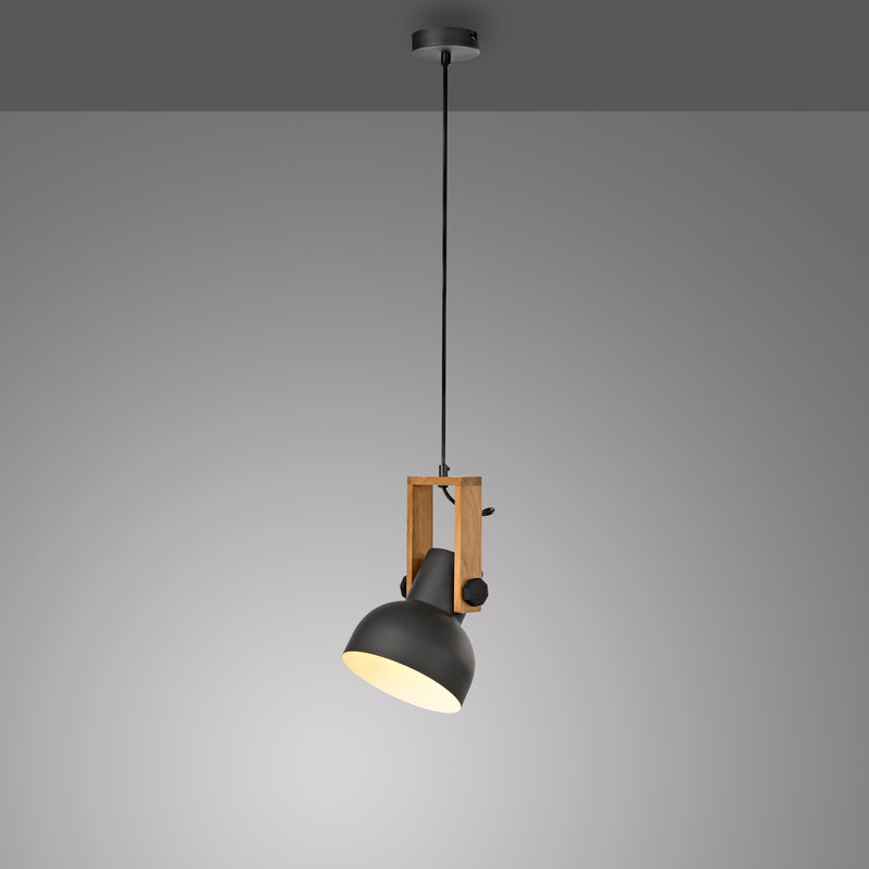 Lustra Paul Neuhaus CUP 2.0 1xE27 Negru