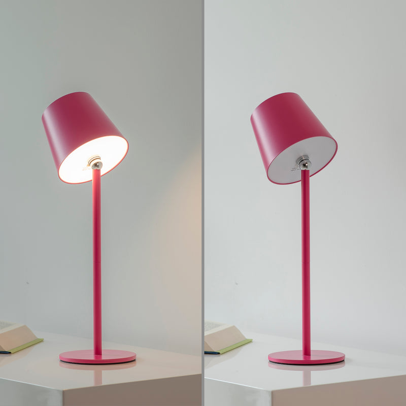 Veioza Paul Neuhaus BOTERIA LED Roz