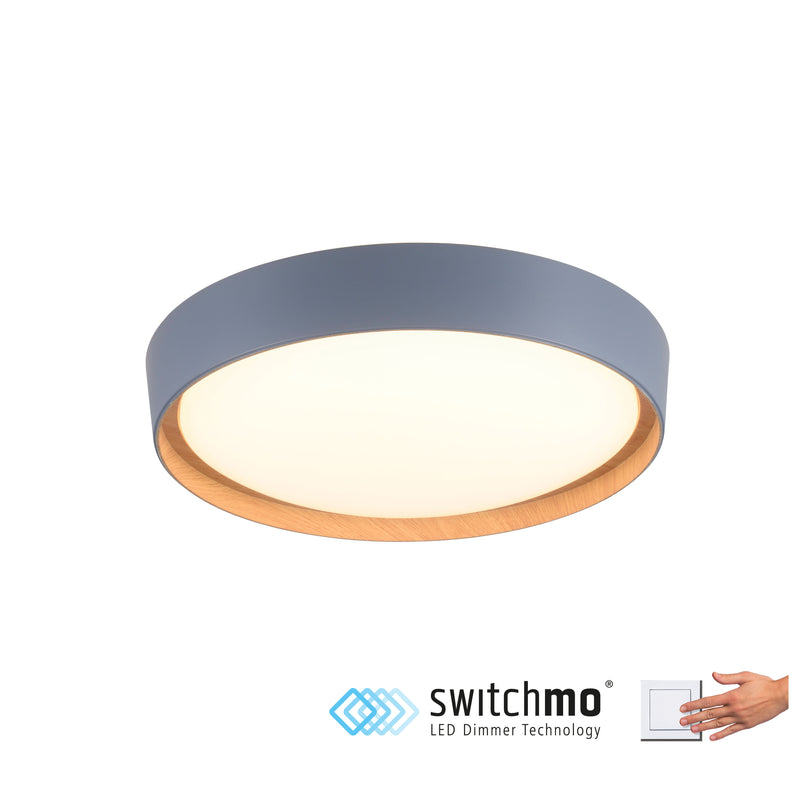 Plafoniera Paul Neuhaus EMILIA LED Gri