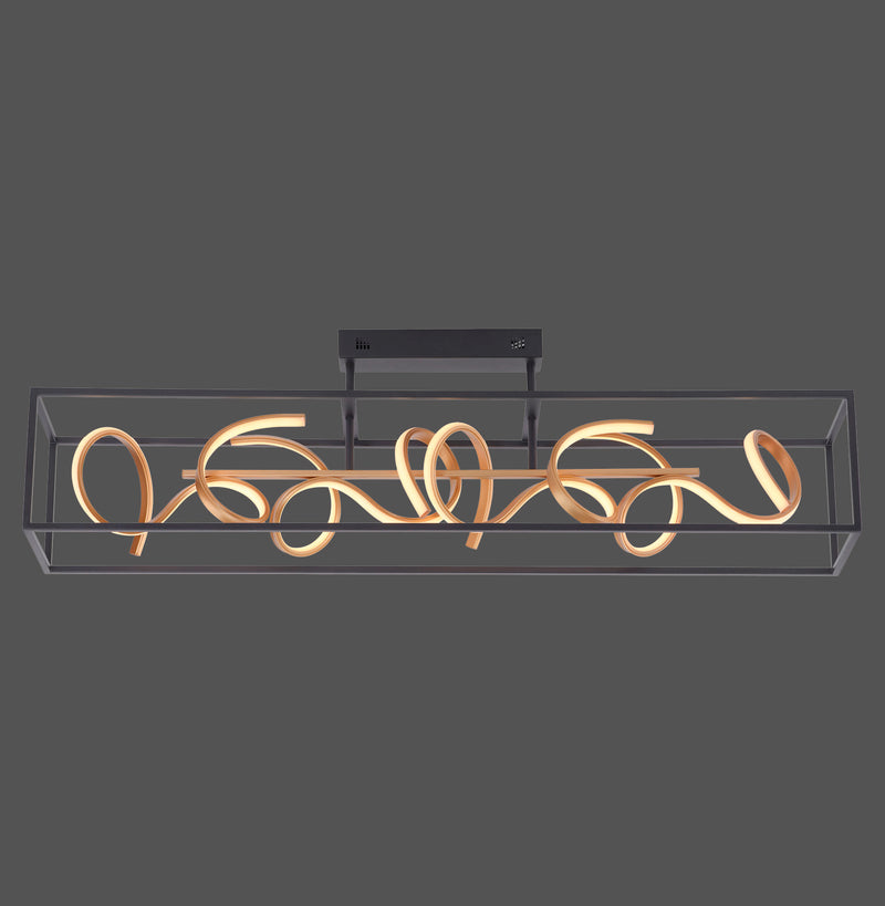 Plafoniera Paul Neuhaus SELINA 4xLED Negru
