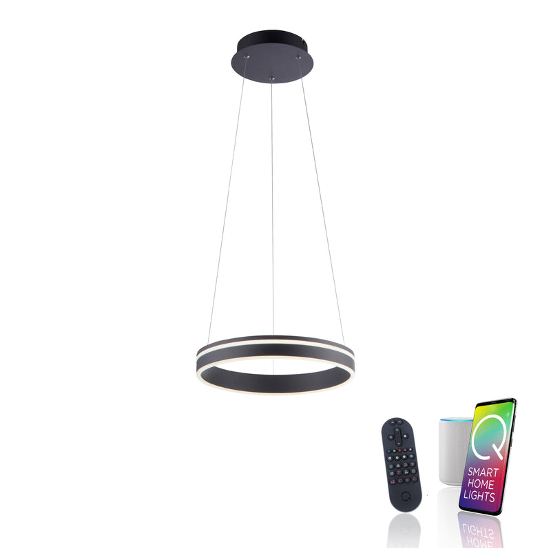 Lustra Paul Neuhaus Q-VITO LED Antracit