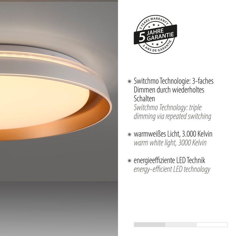 Plafoniera Paul Neuhaus SATI LED Alama Mat