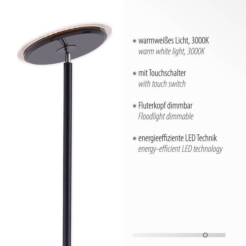 Lampadar Paul Neuhaus HANS LED Negru