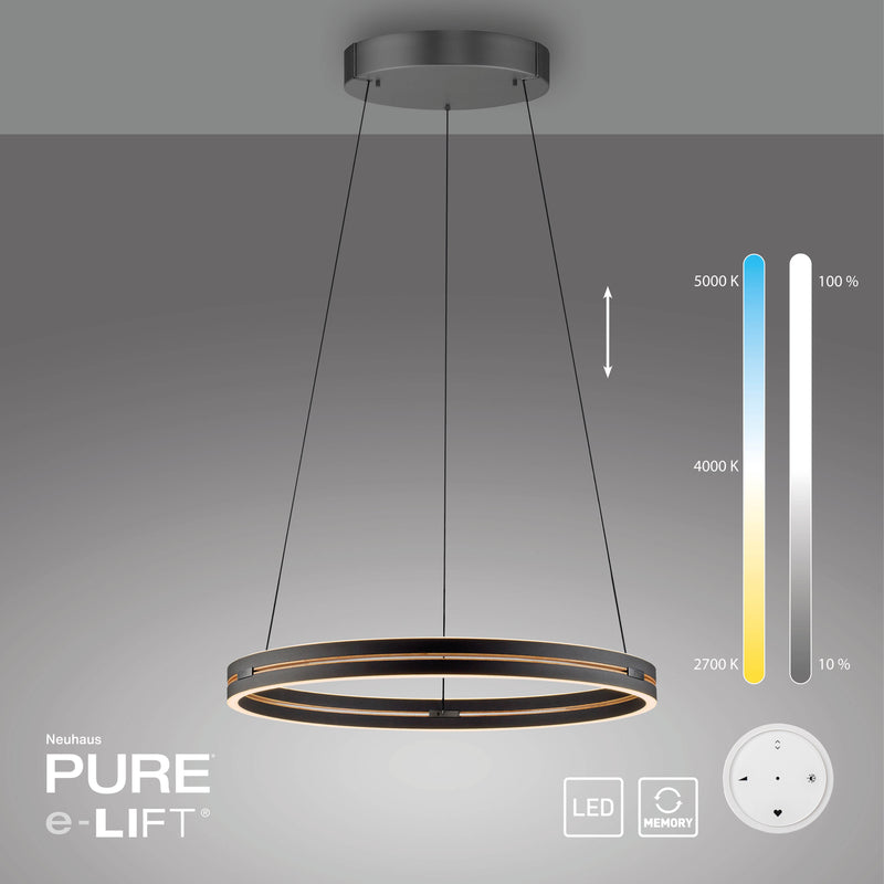 Lustra Paul Neuhaus PURE E-LOOP 2xLED Negru