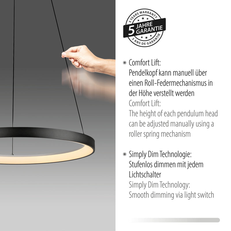 Lustra Paul Neuhaus HOOP LED Negru