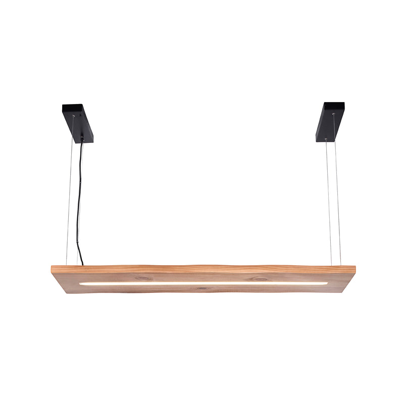Lustra Paul Neuhaus PALMA LED Negru