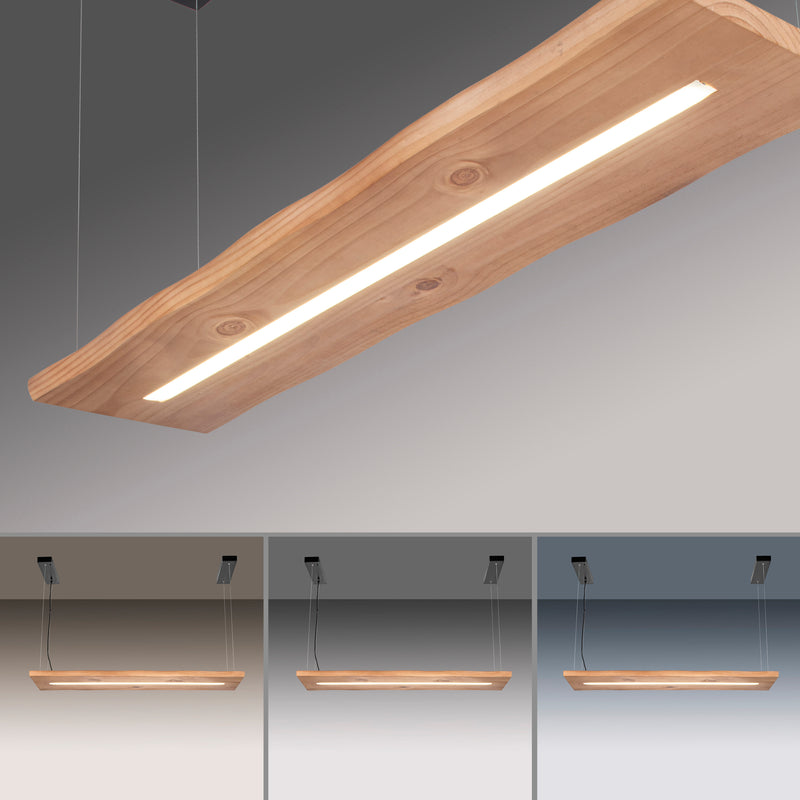 Lustra Paul Neuhaus PALMA LED Negru