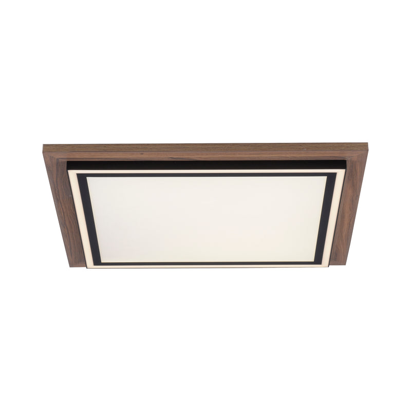 Plafoniera Paul Neuhaus PALMA 2xLED Lemn
