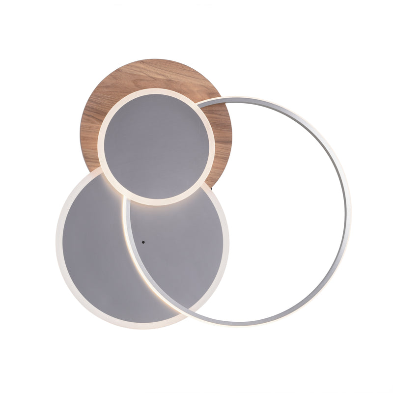 Plafoniera Paul Neuhaus PALMA LED Lemn