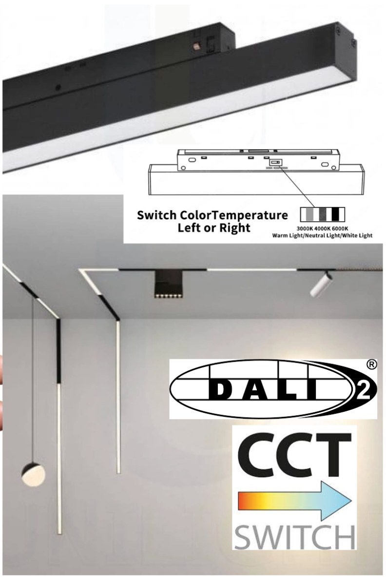Proiector pe Sina Zuma Line MAGNETYCZNE 144xLED Negru