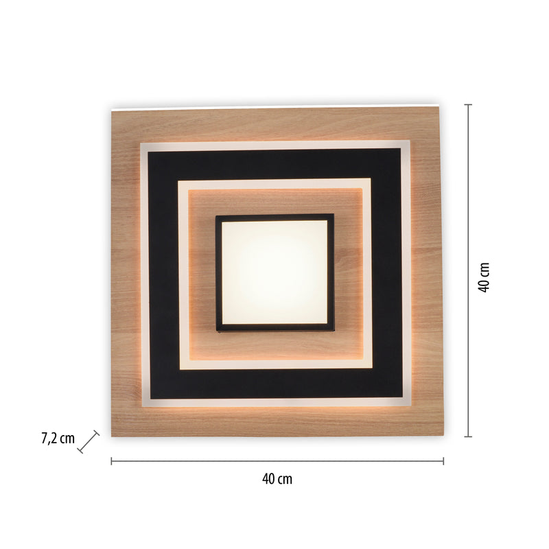 Plafoniera Paul Neuhaus TOLA LED Negru