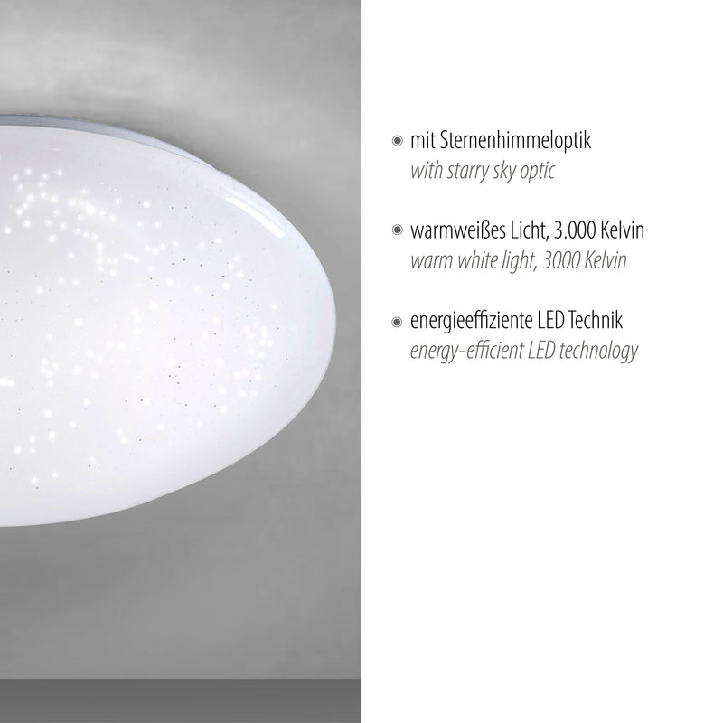 Plafoniera Paul Neuhaus SKYLER LED Alb