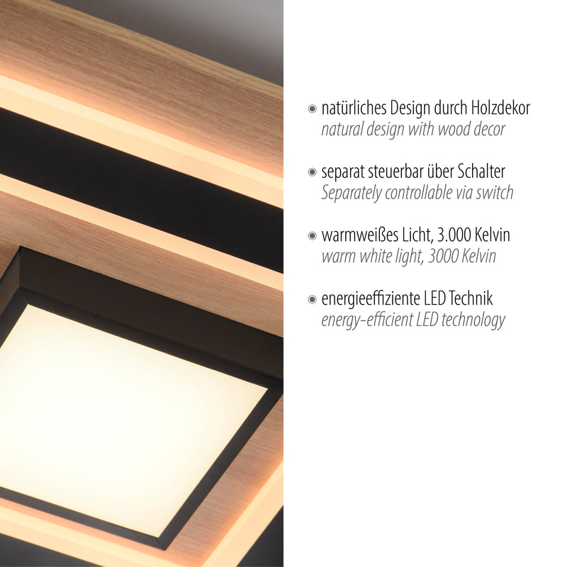 Plafoniera Paul Neuhaus TOLA LED Negru