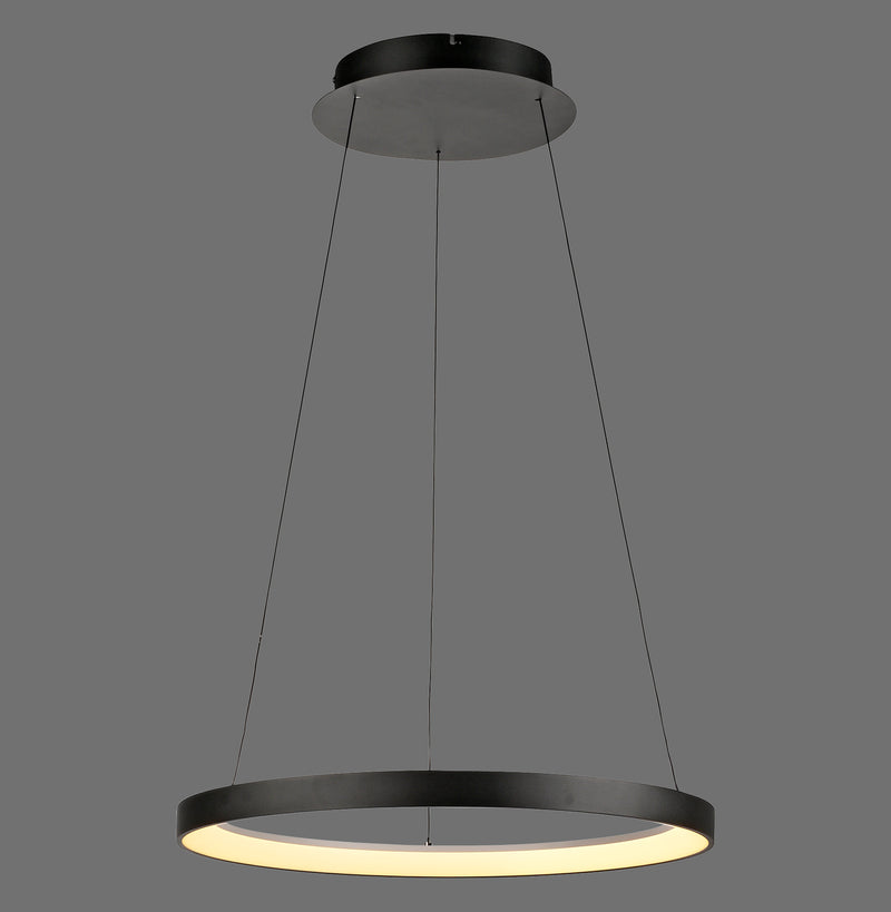 Lustra Paul Neuhaus HOOP LED Negru