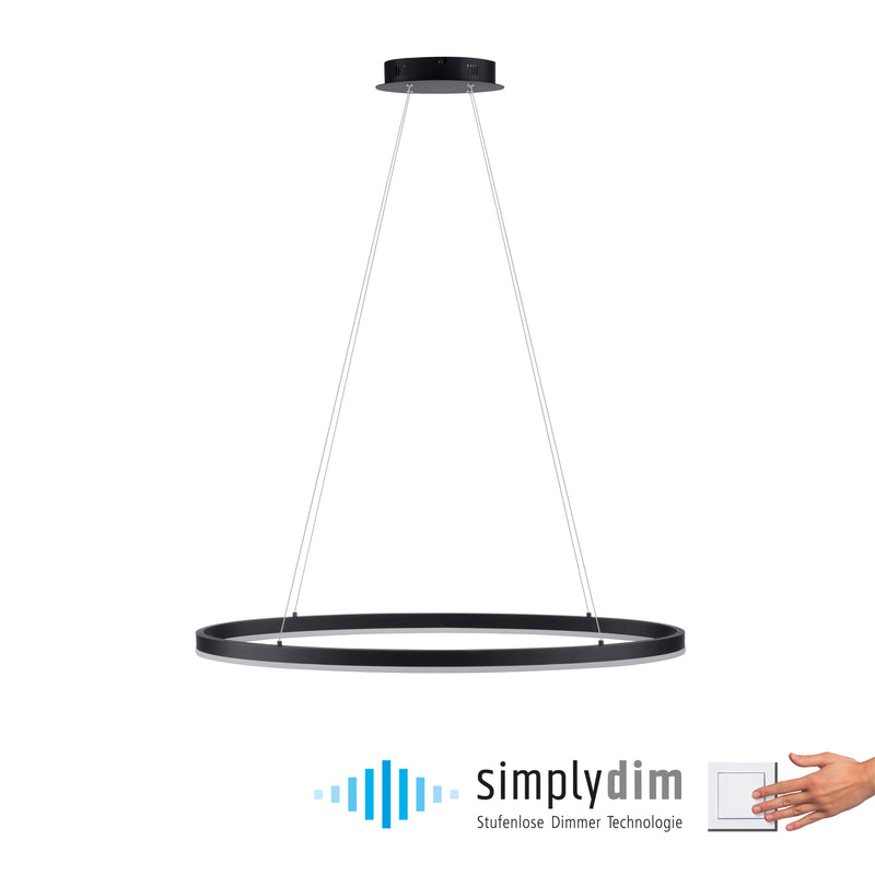 Lustra Paul Neuhaus TITUS LED Antracit