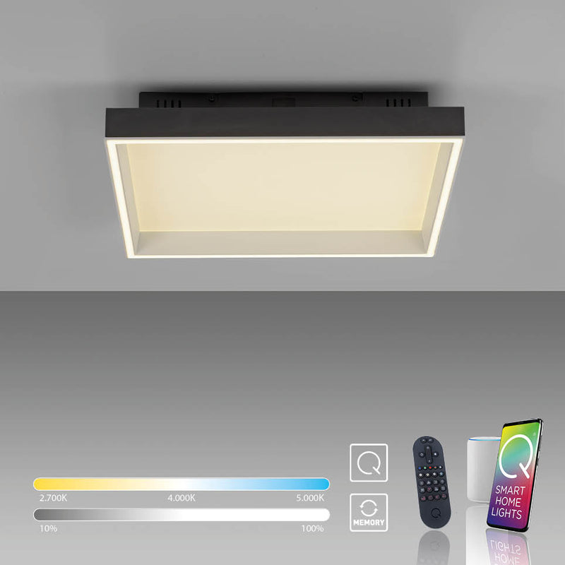 Plafoniera Paul Neuhaus Q-MAGONG LED Negru
