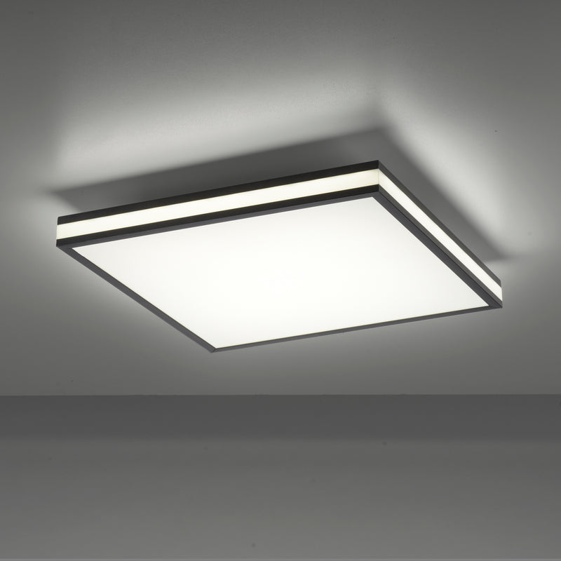 Plafoniera Paul Neuhaus MARIO BLACK LED Negru