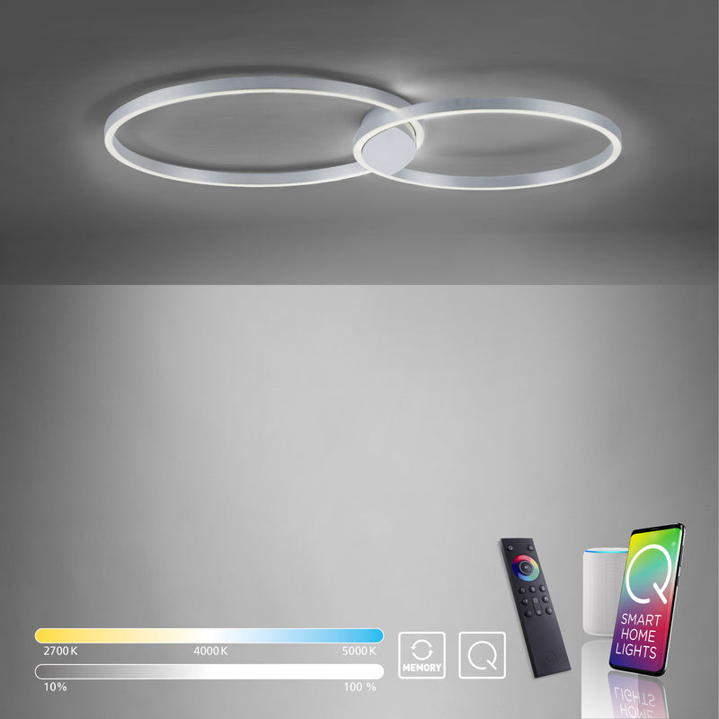 Plafoniera Paul Neuhaus Q-KATE 2xLED Otel
