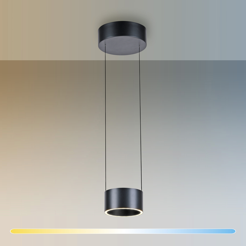 Lustra Paul Neuhaus PURE CLIPSE 2xLED Gri
