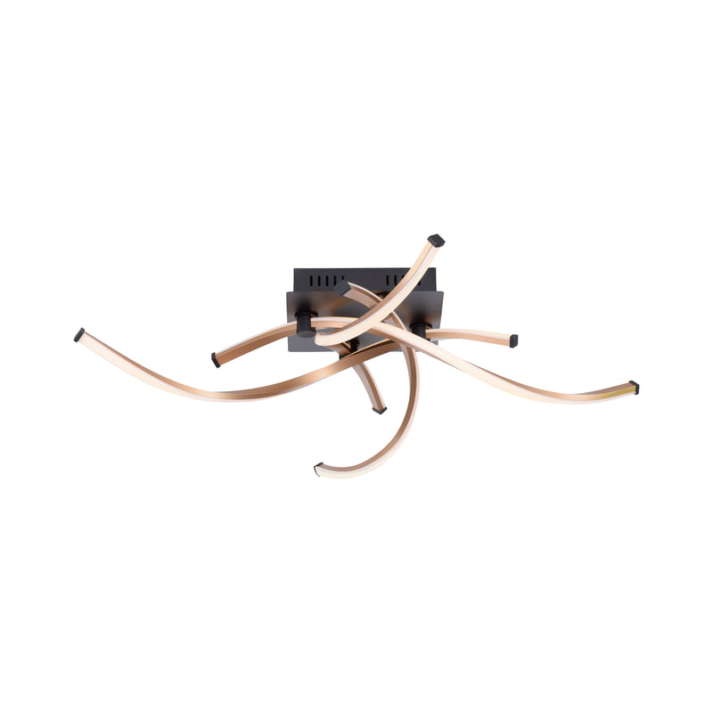 Plafoniera Paul Neuhaus POLINA 4xLED Negru