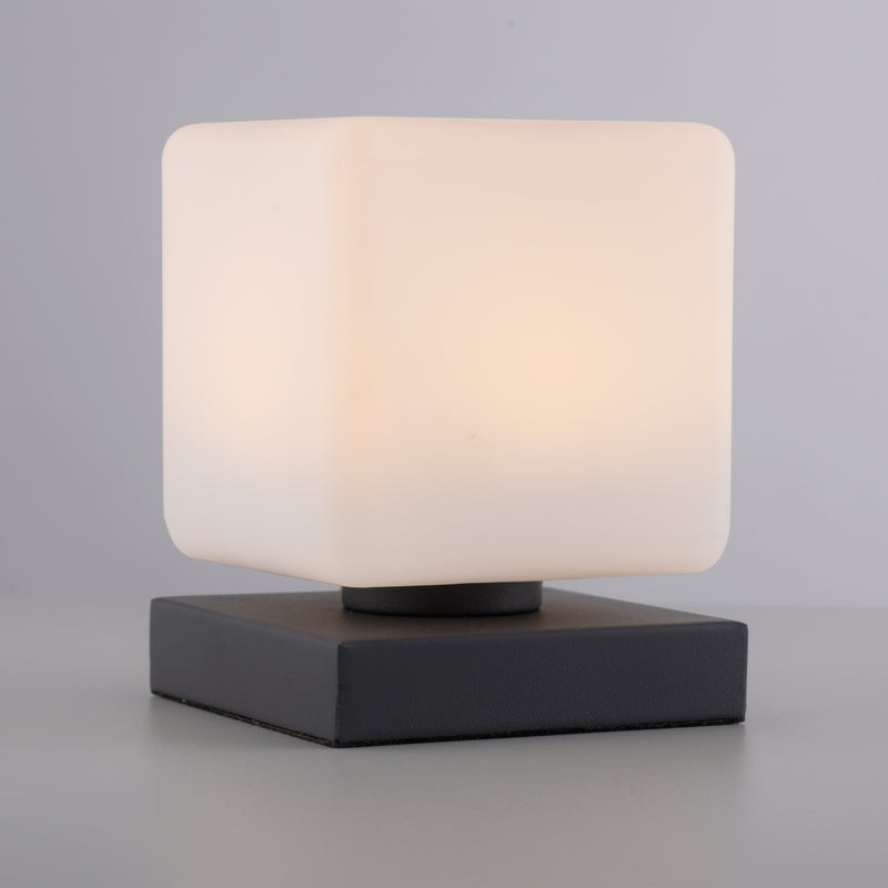 Veioza Paul Neuhaus DADOA LED Antracit