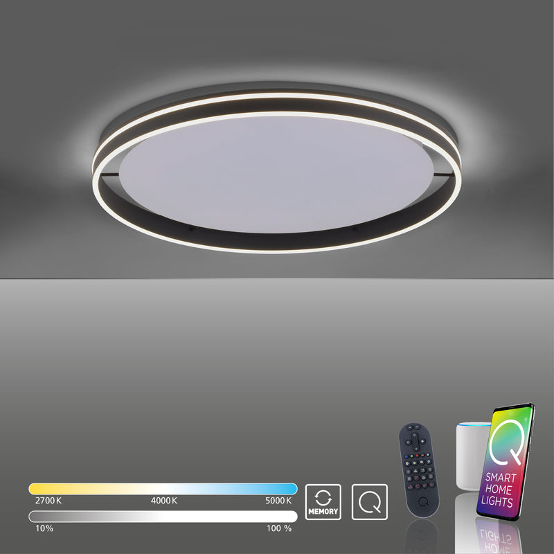 Plafoniera Paul Neuhaus Q-VITO LED Antracit
